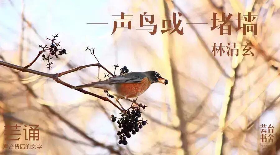 ...声音背后的文字:林清玄《一声鸟或一堵墙》 芸诵人 刘欢