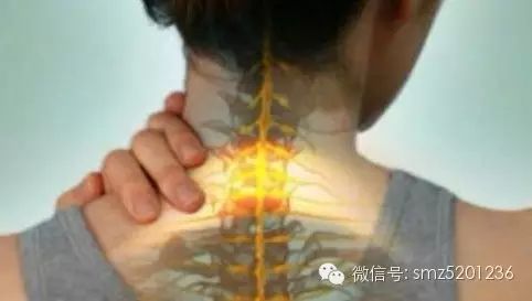 一,肩颈结构