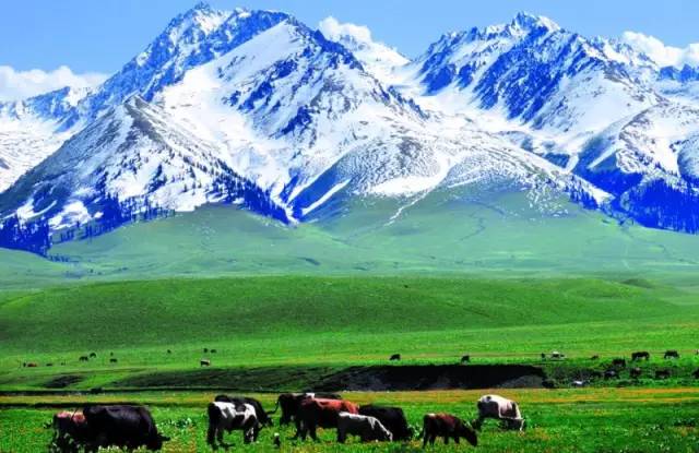 这个夏天，中国最美的地方---新疆！
