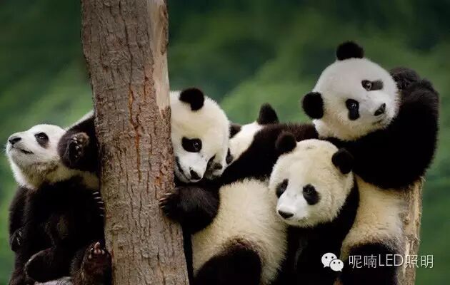 脑洞趣闻｜细思恐极，灯光太亮会让人变胖？