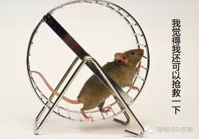 脑洞趣闻｜细思恐极，灯光太亮会让人变胖？