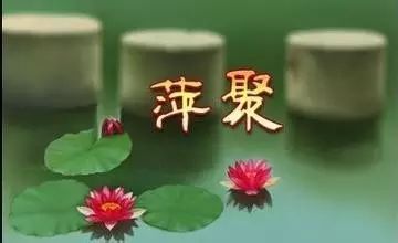 《萍聚》李翊君