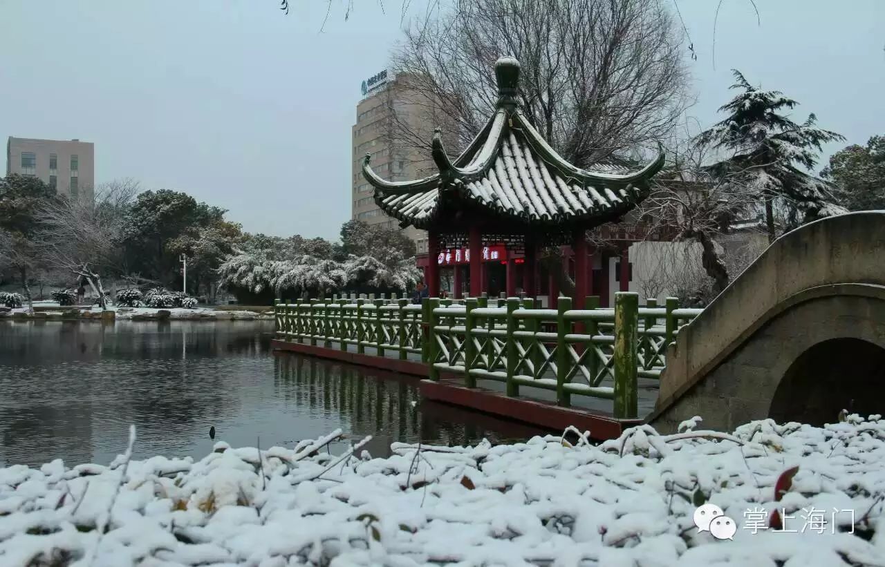 "忽如一夜春风来,千树万树梨花开"的感觉 看看海门东洲公园的雪景照片