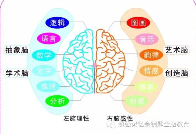 全脑教育，对孩子的好处到底在哪里？