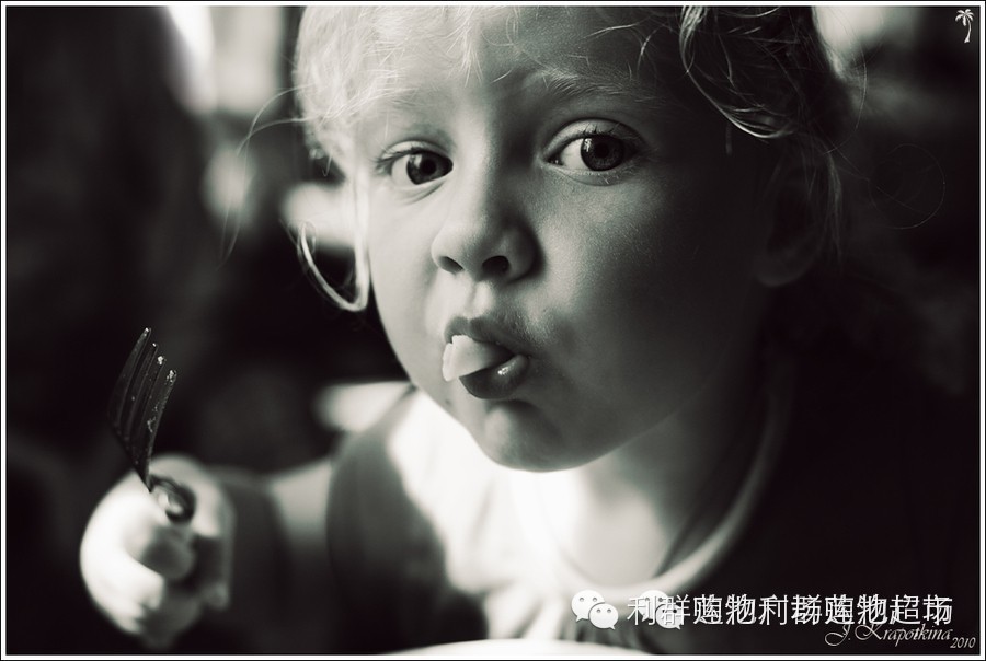 转载:五分钟学会超级好吃的早餐 - 石头 - 石头的博客 转载:五分钟学会超级好吃的早餐 - 石头 - 石头的博客