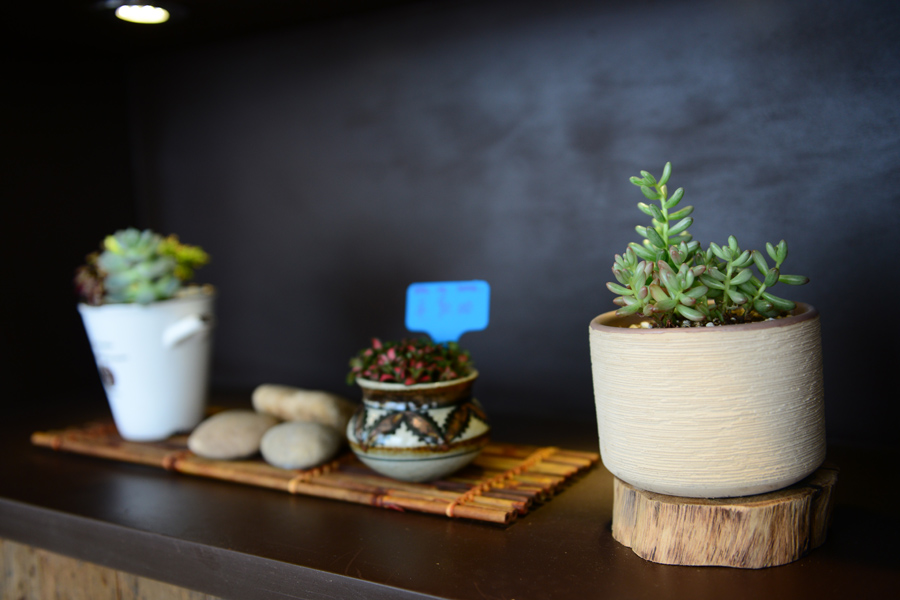 Mildtree全国首家，HOME概念集成店隆重开业(图16)