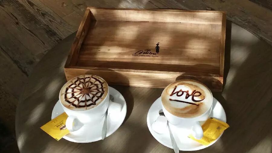 Mildtree全国首家，HOME概念集成店隆重开业(图12)