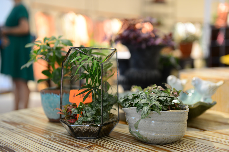 Mildtree全国首家，HOME概念集成店隆重开业(图17)