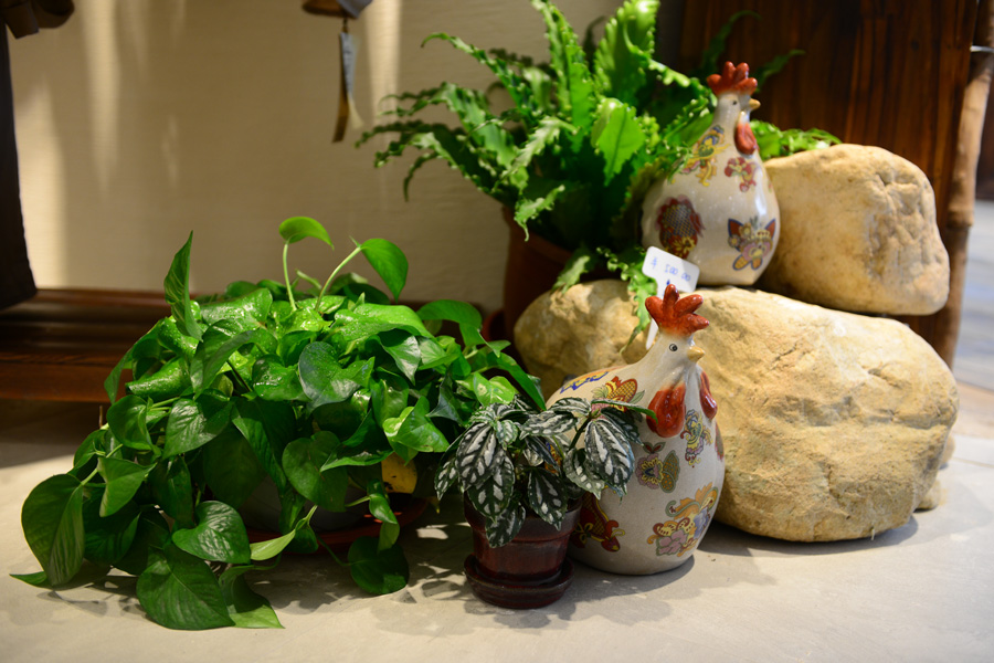 Mildtree全国首家，HOME概念集成店隆重开业(图20)