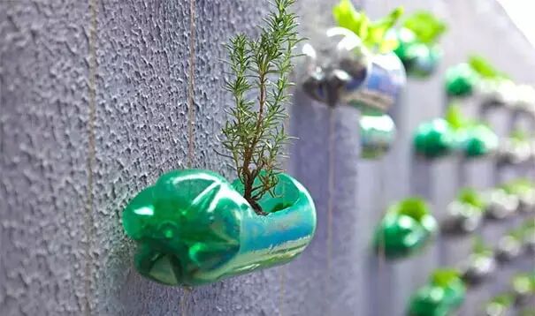 תءңƿҲöˣ - ѾѾ - 