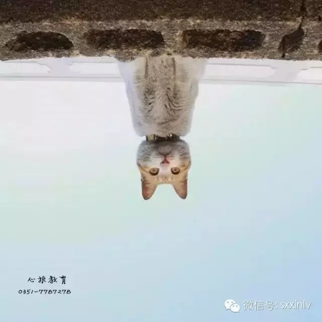 但凡不能杀死你的，最终都会使你更强大