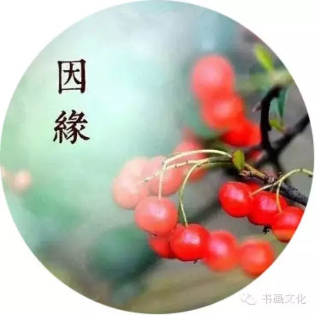 前世来生 因果轮回?