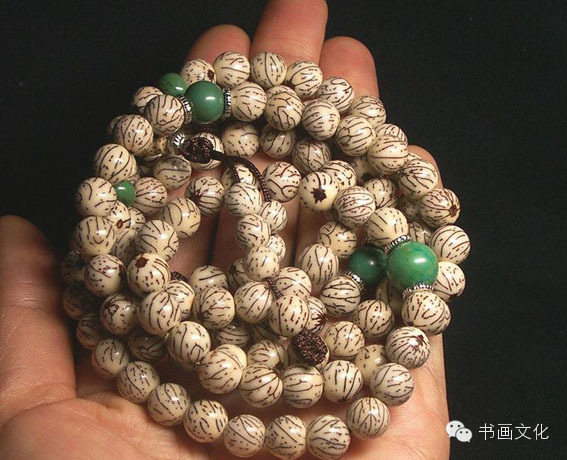 史上最全的菩提子种类图谱