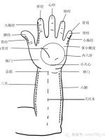 預防春季多發的過敏性疾病 健康 第4張