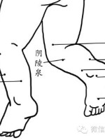 預防春季多發的過敏性疾病 健康 第3張