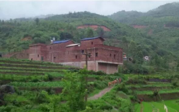 【四平微报】精神病人敬老院内怀孕;辱骂和殴打民警 四平3名男子因妨碍公务被刑拘-怀孕期