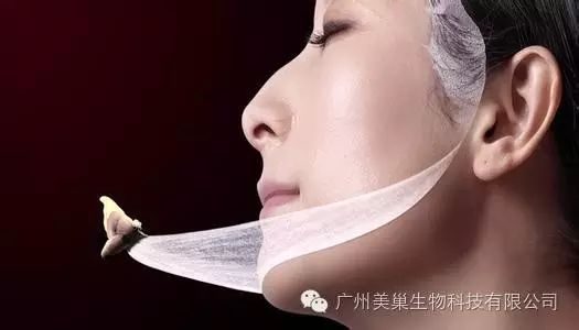 张根硕宋承宪范冰冰赵薇 这些明星都是面膜控