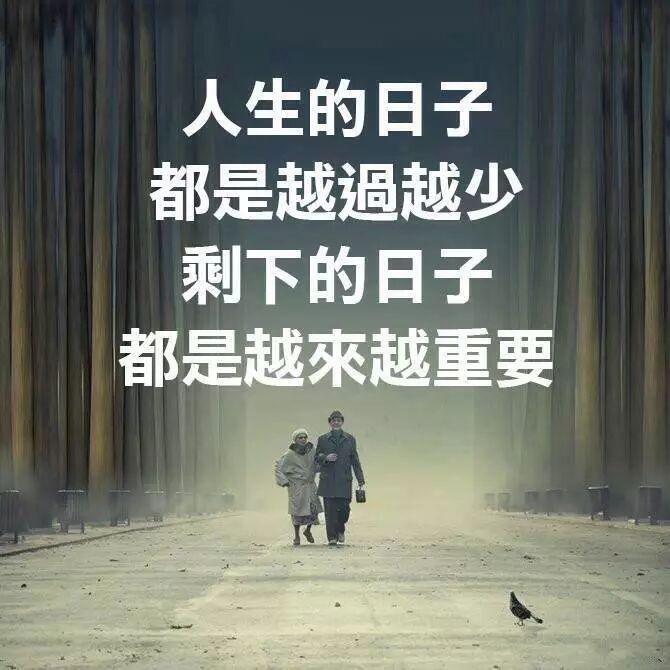 或许来不及说一声道别 或许来不及看最后一眼 或许有太多太多的来不及