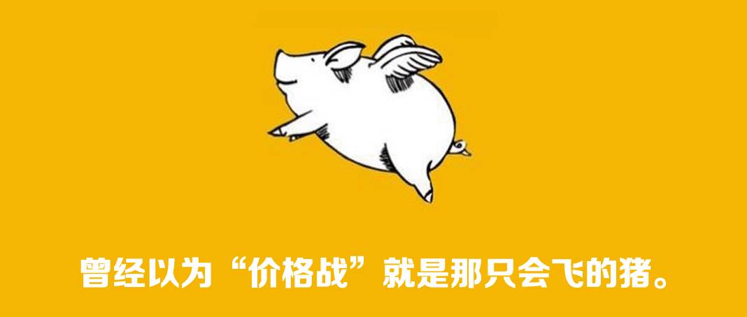 10年LED，致我们终将逝去的青春