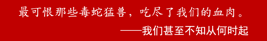 10年LED，致我们终将逝去的青春