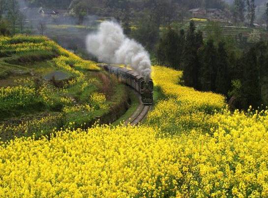 四川省大竹县属于哪个市_四川强县排名_四川最强县