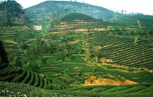 四川省大竹县属于哪个市_四川最强县_四川强县排名