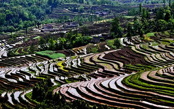 四川最强县_四川省大竹县属于哪个市_四川强县排名