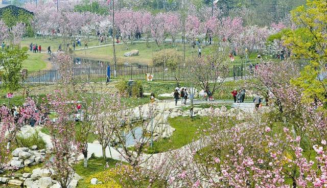 四川最强县_四川省大竹县属于哪个市_四川强县排名