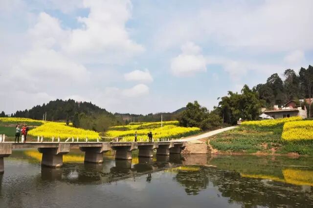 四川强县排名_四川最强县_四川省大竹县属于哪个市