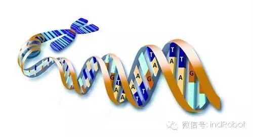 2015年十大新兴技术