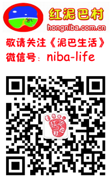 《柳林风声》杨译、任译文本对比 《柳林风声》杨译、任译文本对比