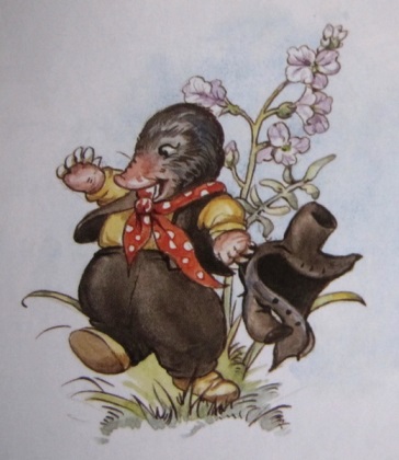 《柳林风声》杨译、任译文本对比