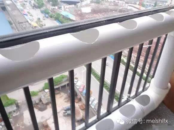 【转载】一根管子就能种出全家人吃的菜! - ynmzfhl - ynmzfhl的博客 一根管子就能种出全家人吃的菜! - 笑看人生 - 笑看人生