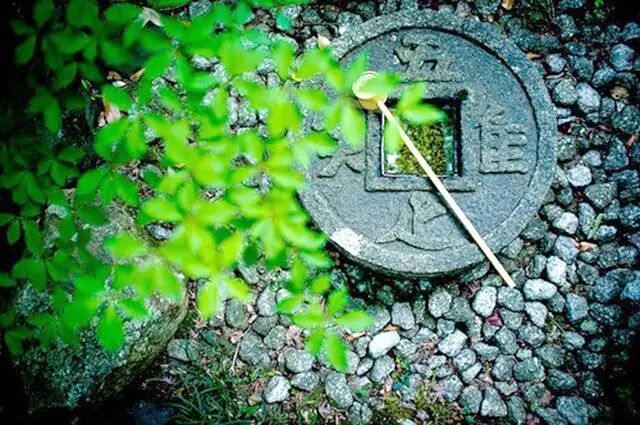 我们爱它五千多年，还深深地爱着