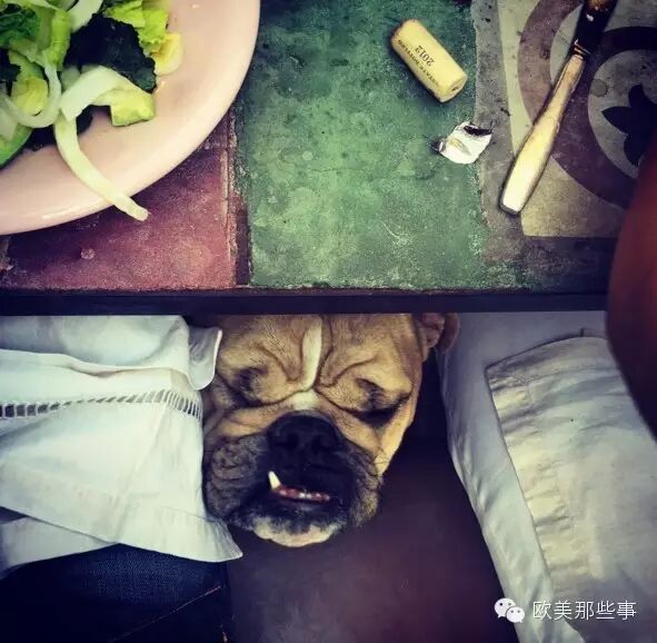 美国过复活节吗 美国明星们都是怎么过复活节的？