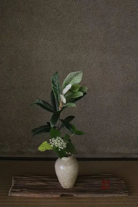 当季の花 禅意清净之美
