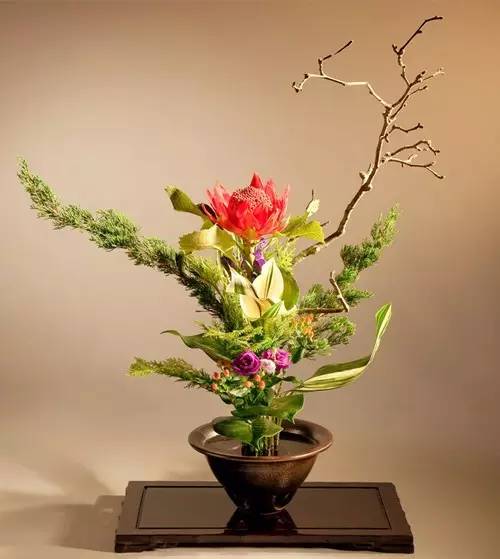 意韵东方|茶肆插花