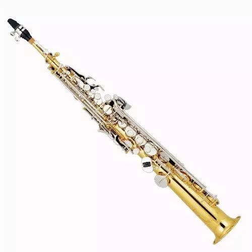 saxophone),又俗称"直管萨克斯",我们熟悉的由美国著名萨克斯管演奏家