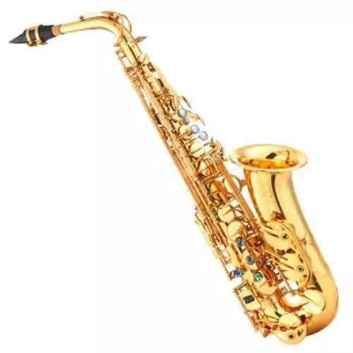 saxophone),又俗称"直管萨克斯",我们熟悉的由美国著名萨克斯管演奏家
