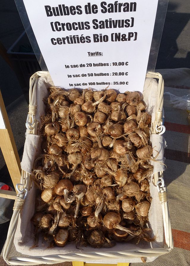 #每天一味中草药# <wbr>