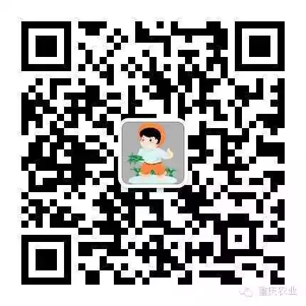 2.webp (3).jpg