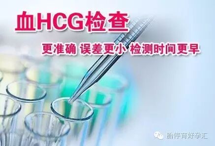 备孕知识:HCG是怎么产生的?-怀孕期