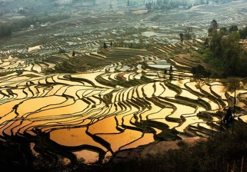 转载:与其相见,不如怀念 - 秋博子奥 - 秋博子奥的博客 转载:与其相见,不如怀念 - 秋博子奥 - 秋博子奥的博客