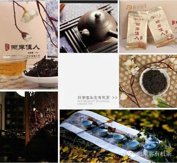 www.ga0022.com