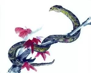 今年羊年,13件事千万不能做! - 学校生活教育 - 学校生活教育 今年羊年,13件事千万不能做! - 学校生活教育 - 学校生活教育