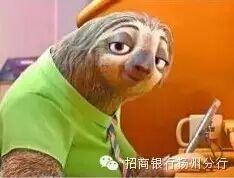 10元观影小招已被这只神似王思聪的树獭萌哭啦!