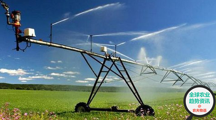 华西村人均收入_人均蔬菜消费量