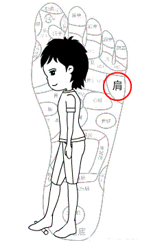 经络不通，补什么都没用！