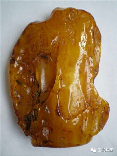 图解琥珀形成的过程