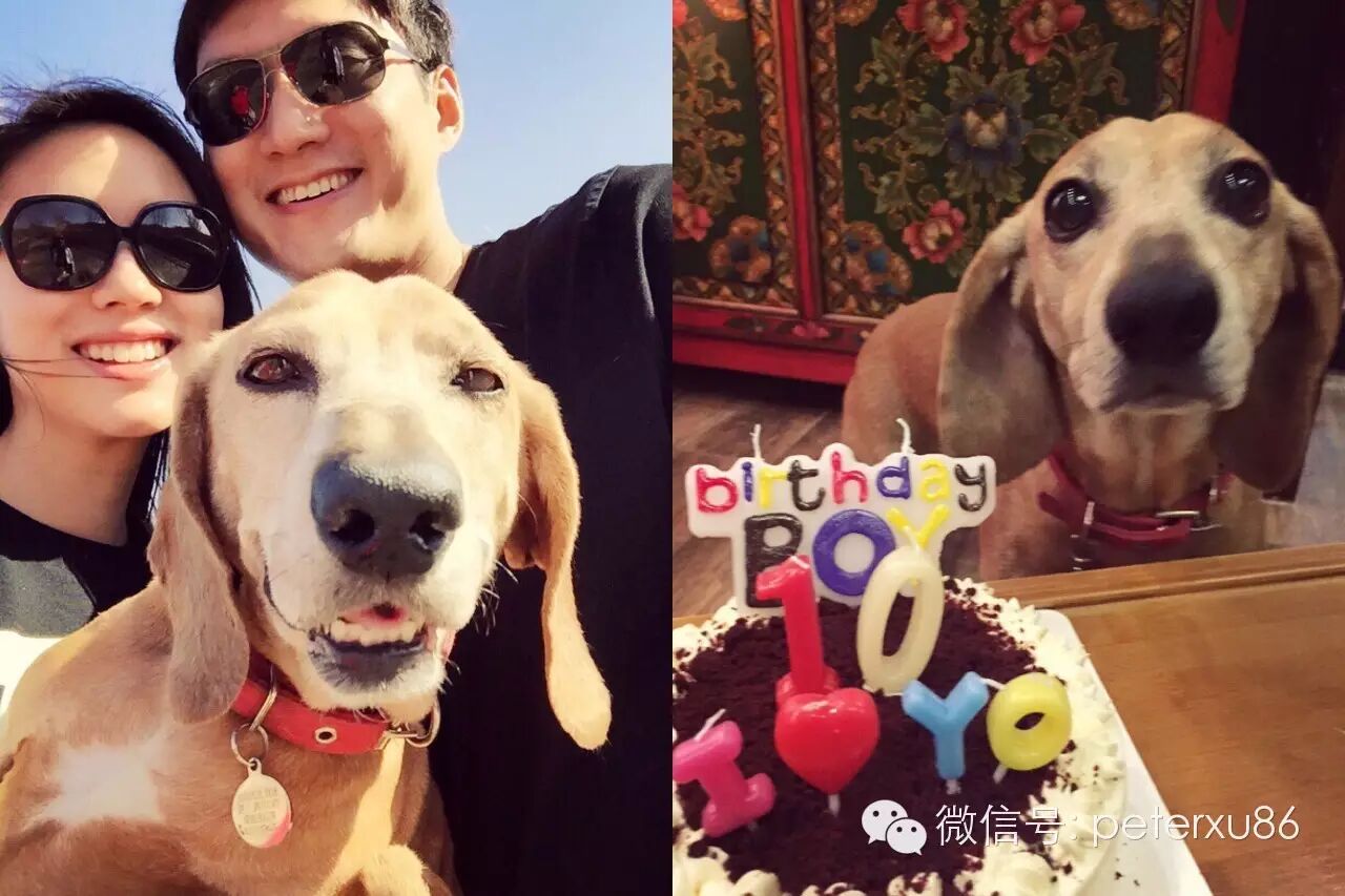 独家头条|那些年我们追过的女神怀孕了!-怀孕期